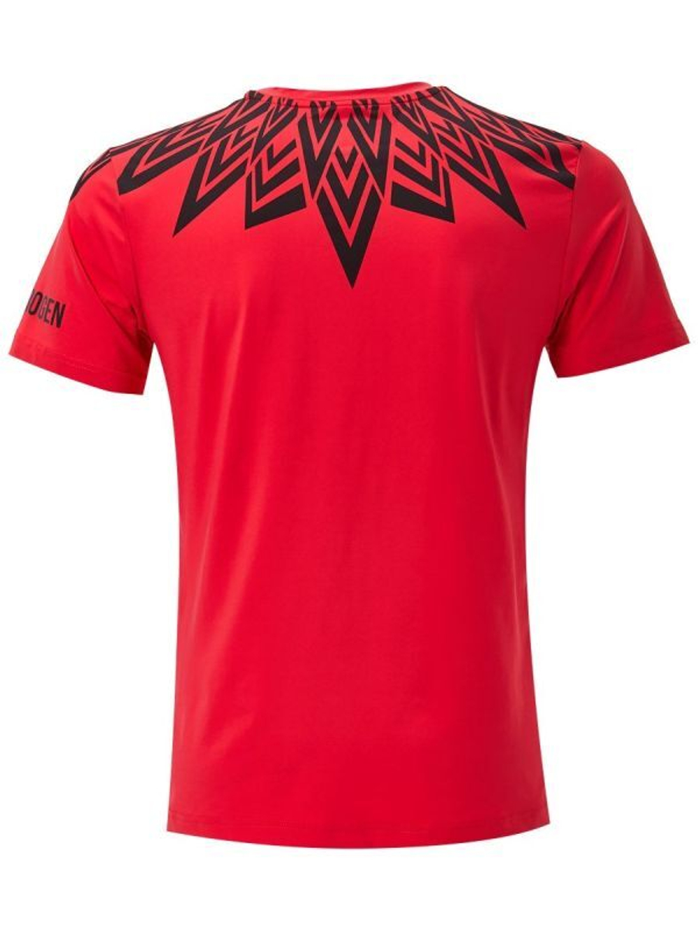 Мужская теннисная футболка Hydrogen Tech Tee Man - красный