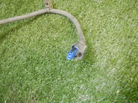 DSCN4001.jpg