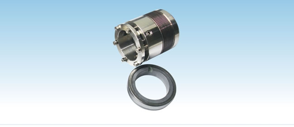 Торцевое уплотнение BS609