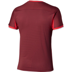 Мужская теннисная футболка Mizuno Stargazer Shadow Graphic Short-Sleeve - sun dried tomato