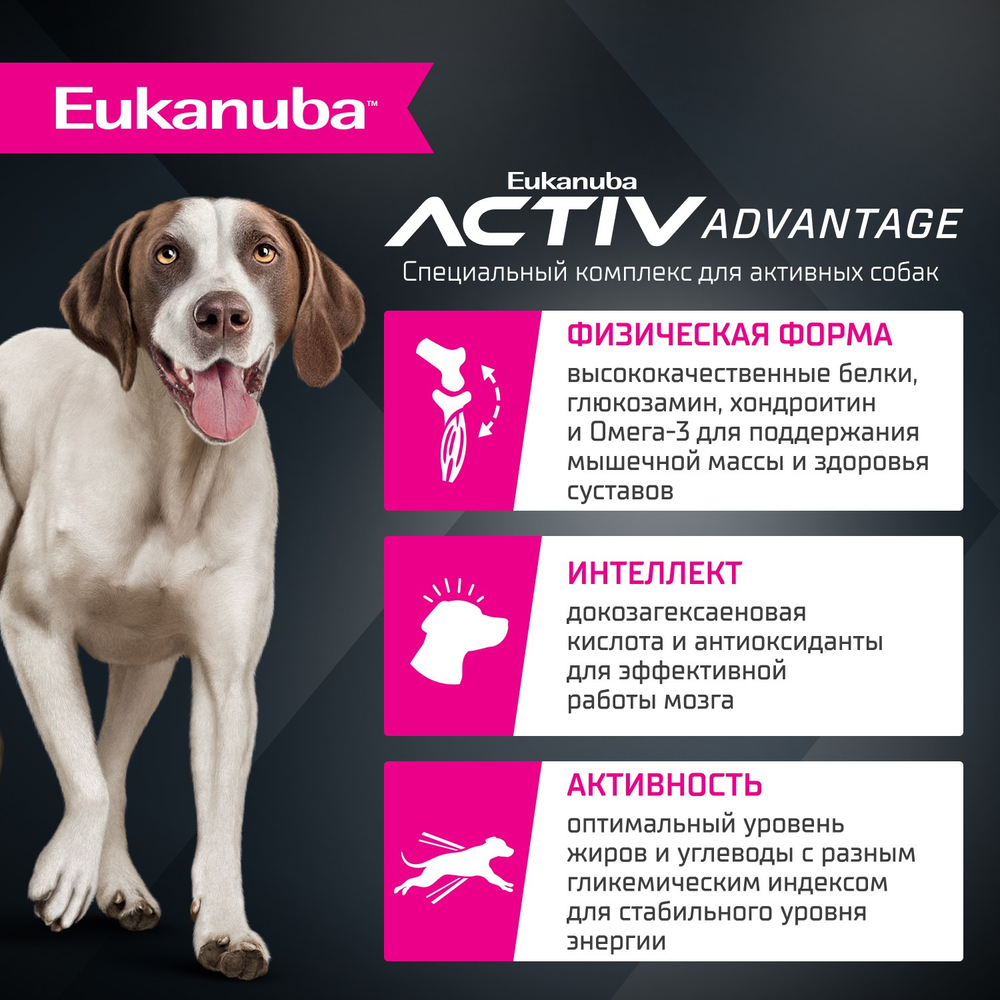 Сухой корм Eukanuba для взрослых собак крупных и очень крупных пород старше 1 года с ягненком 3 кг