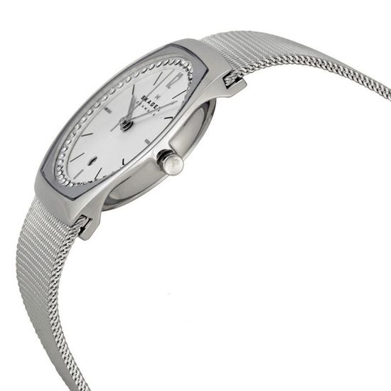 Наручные часы Skagen SKW2049