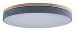 Накладной светильник Loft it Axel 10001/36 Grey