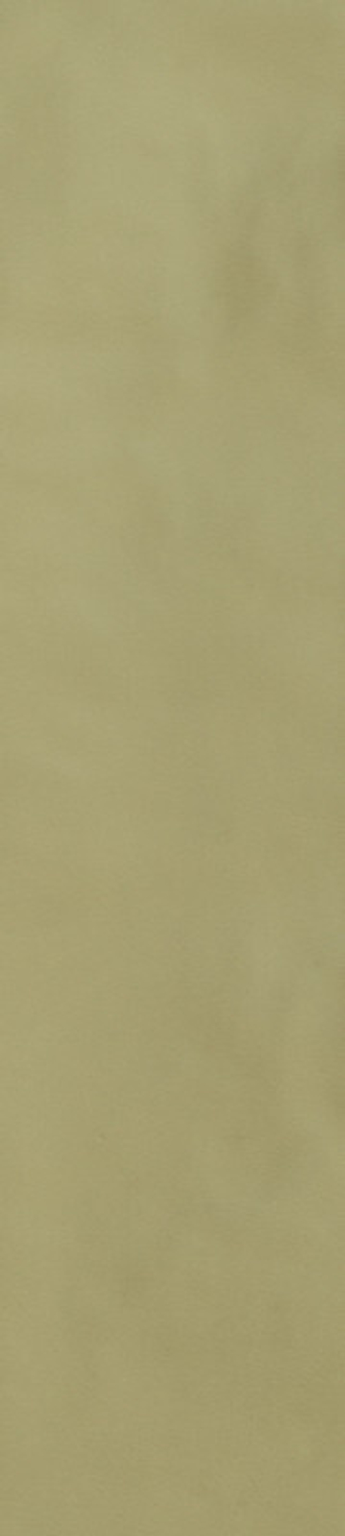 Керамогранит 786011 Sensi Colore Salvia Glossy 5,7x23,2