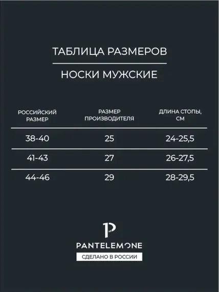 Носки мужские Pantelemone PN-106 (10 пар),синие (29)