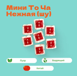Чай пуэр мини То Ча Нежная (шу)