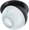 Точечный светильник Deneb A7249PL-1BK Arte Lamp
