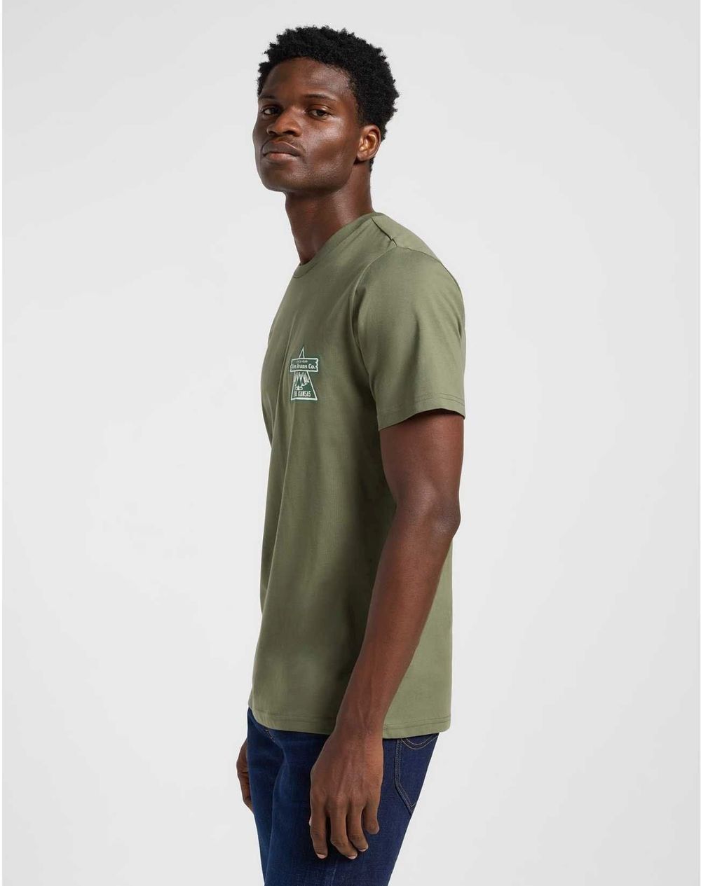 Футболка мужская LEE REGULAR GRAPHIC TEE