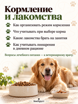 Онлайн-консультация кинолога, 30 минут