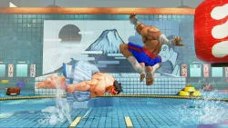 Street Fighter V Champion Edition + Season 5 Premium Pass Bundle PS4 | PS5