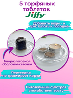 Семена Эустома высокорослая многолетняя Белая, Лизиантус комнатный + торфяные таблетки Jiffy в подарок, 5шт