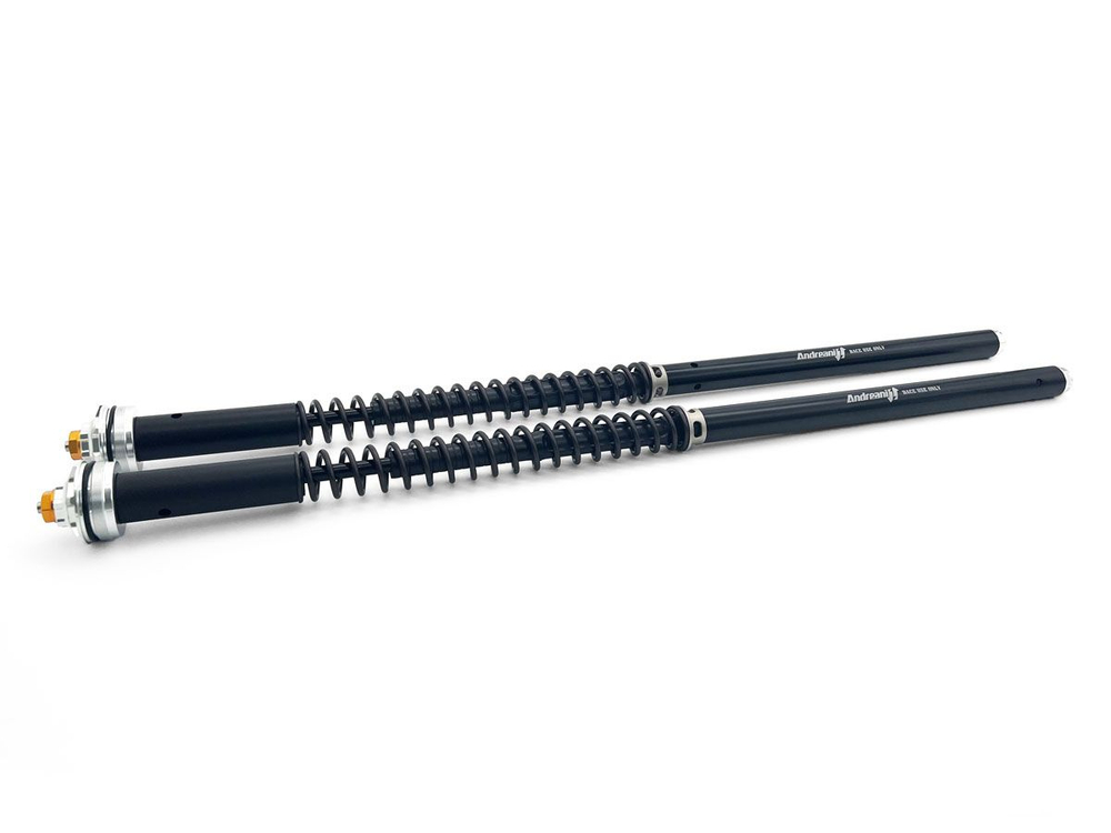105/D60E ANDREANI MISANO EVO CARTRIDGE KIT MARZOCCHI 50 (DVL V4)