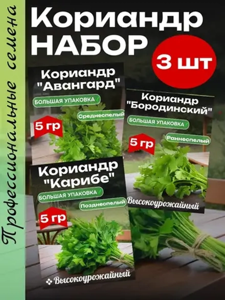 Кориандр (кинза) семена набор 3 шт