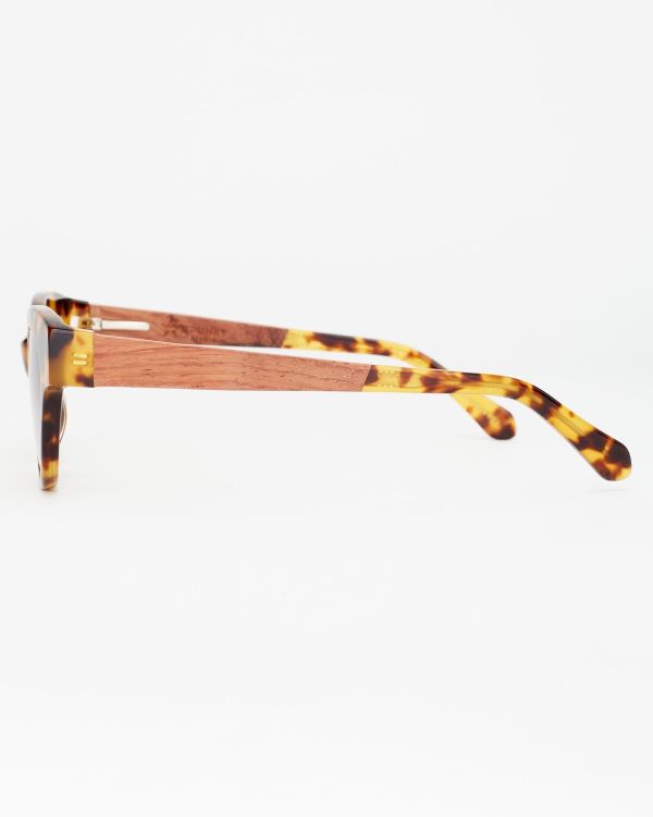Очки солнцезащитные Spunky COCO 6 Tortoise. gradient brown - фото 4