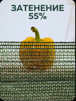 Сетка затеняющая 55% фасованная 3х6 м, зелёная (в комплекте с люверсами)