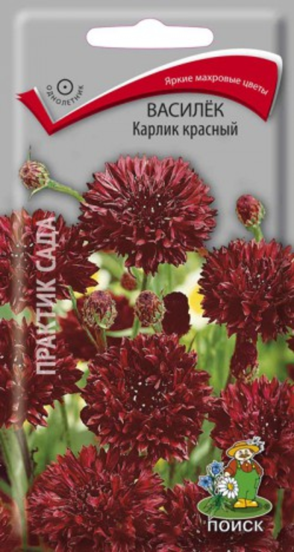 Василек Красный Карлик 0,1гр Поиск
