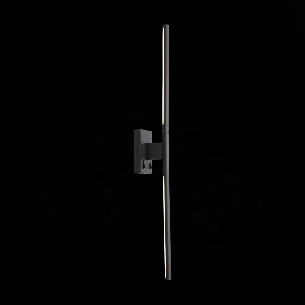 Светильник настенный ST Luce Ralio SL1580.401.01