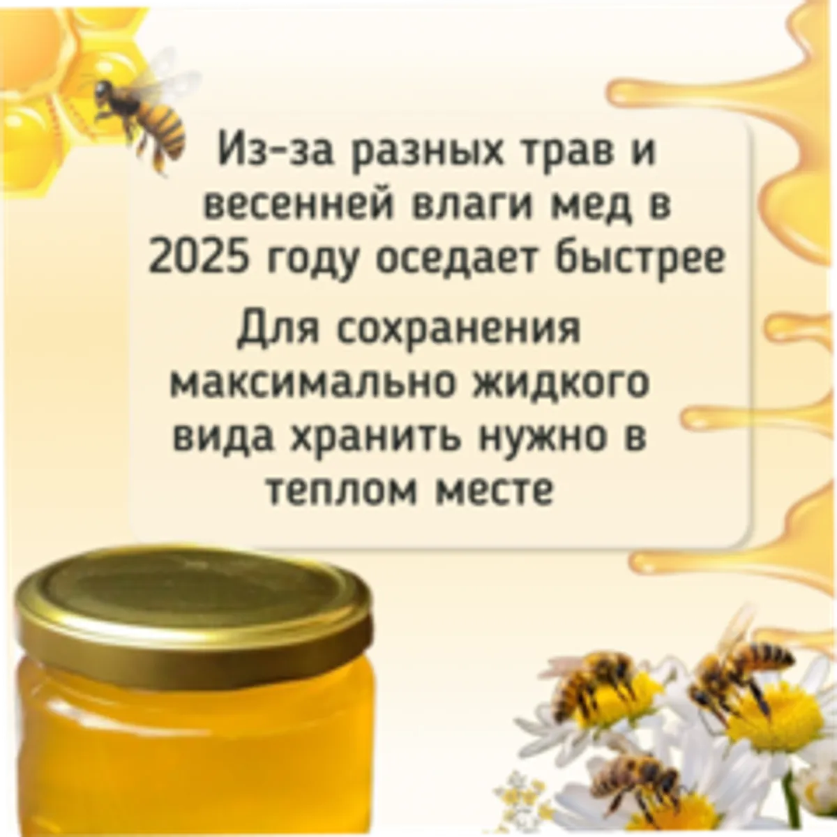 Мед Акации с разнотравьем / 1,2 кг 