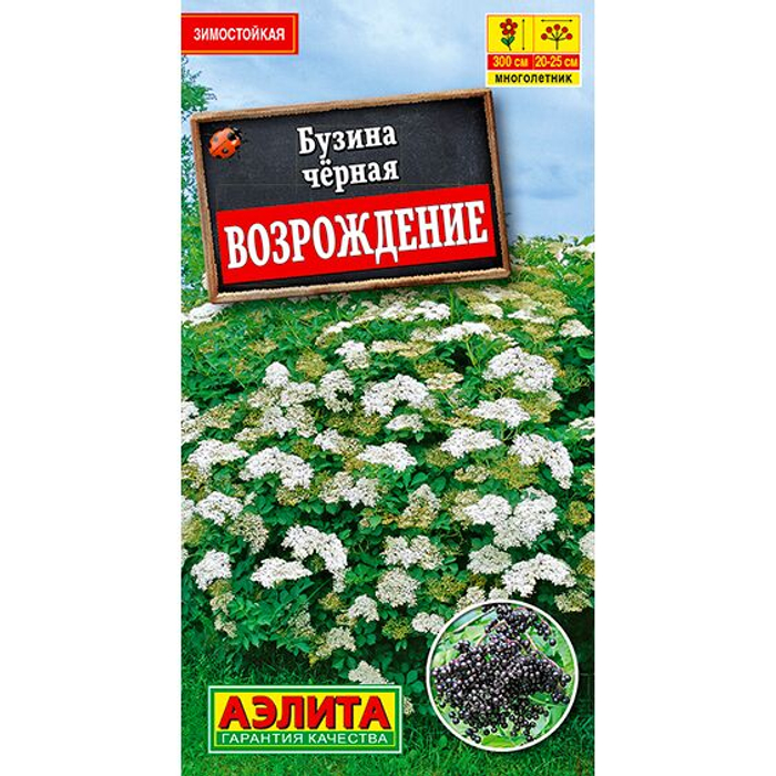 Бузина черная Возрождение 0,5г (Аэлита)