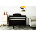 Sai Piano P-110