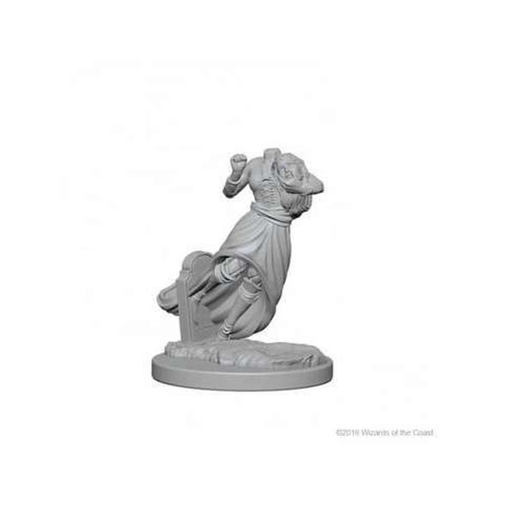 Nolzur's Marvelous Unpainted Miniatures - Ghosts