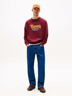 Толстовка мужская TOMMY JEANS TJM RLX BOUCLE FNT P