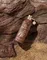 Montale Arabians Musk