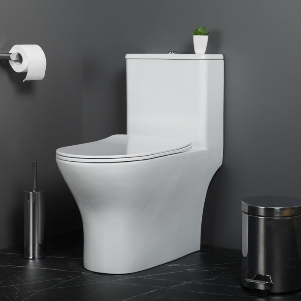 Унитаз-моноблок безободковый с сиденьем микролифт BelBagno LOUNGE BB8618CPR-MN/SC
