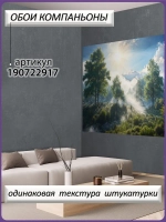 3D Фотообои утренний лес и горы в тумане с ярким солнцем
