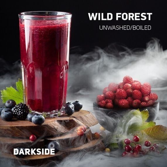 DarkSide BASE - Wild Forest (30г)