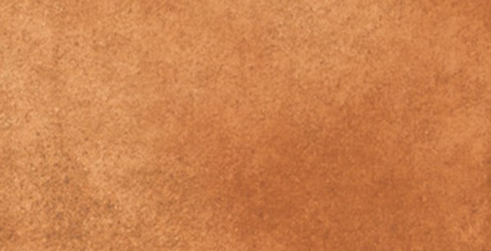 Подступенник Loseta Gobi
