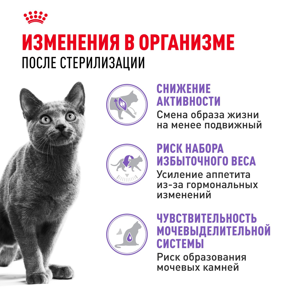 Royal Canin Sterilised 37 Стерилайзд Корм сухой для взрослых стерилизованных кошек в возрасте от 1 года до 7 лет 10кг