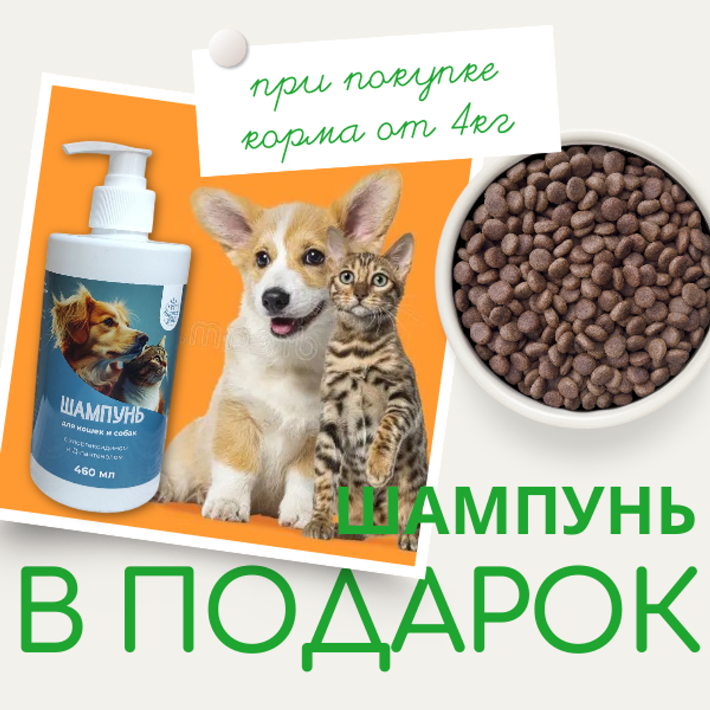 Подарок при покупке корма от 4 кг