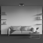 Потолочный светодиодный светильник Maytoni Lua C093CL-36W4K-B