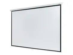 LEP-100113 Настенный экран Lumien Eco Picture