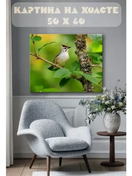 Картина на стену 40 X 50 Птица хохлатая синица