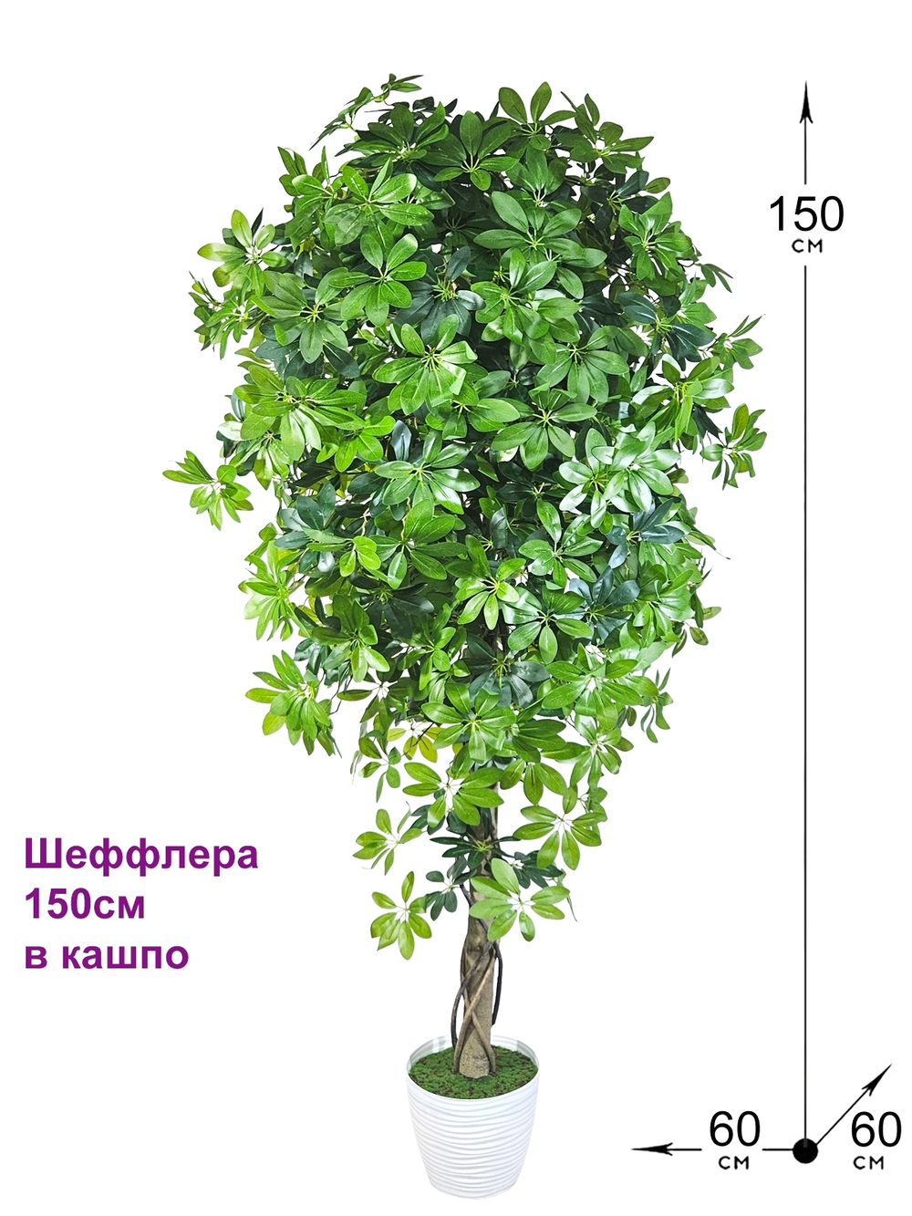 Искусственная Шеффлера 150см в горшке