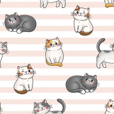 Котики