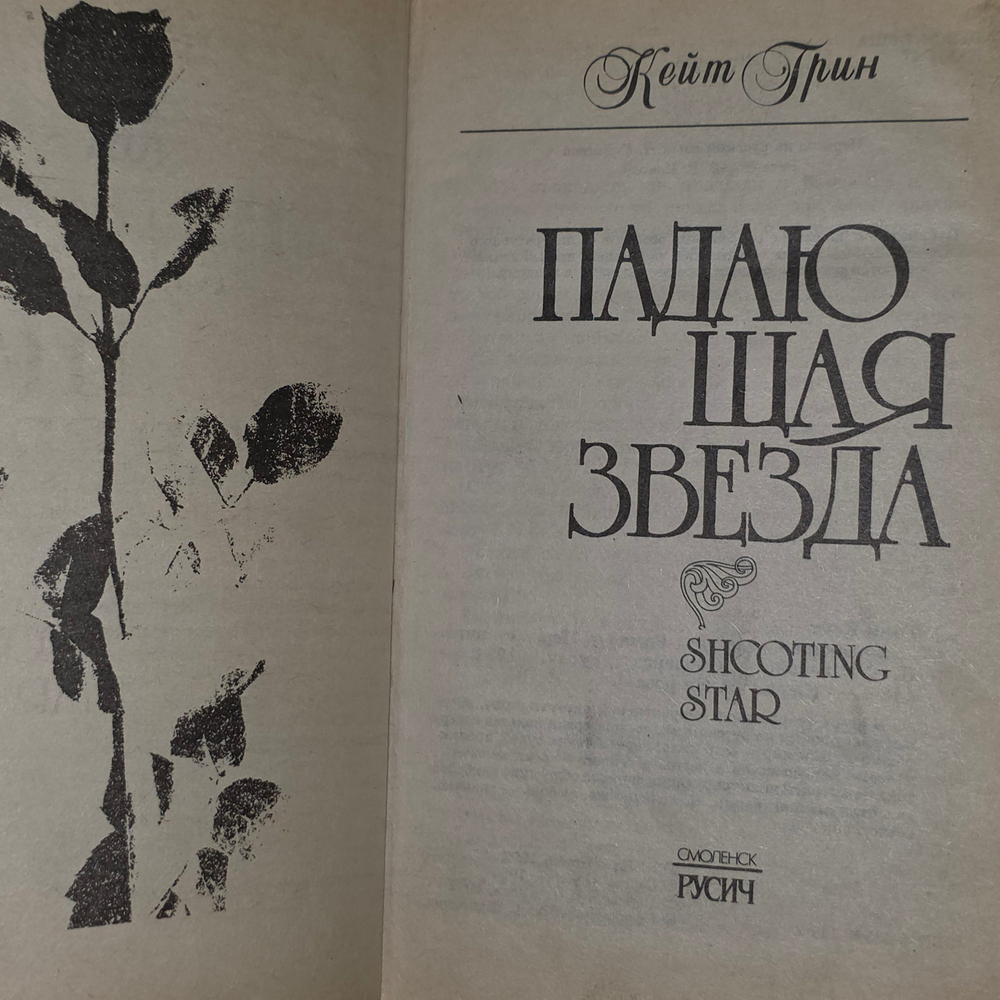 Книга "Падающая звезда"
