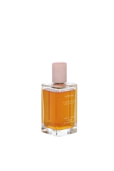 Fueguia 1833 Gabriela Hearst New York
