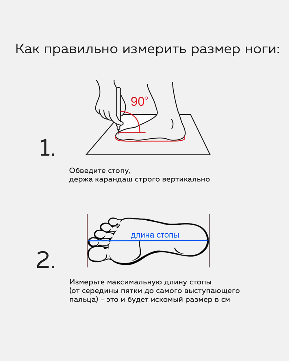 Кеды Lakai Cambridge: Bastien