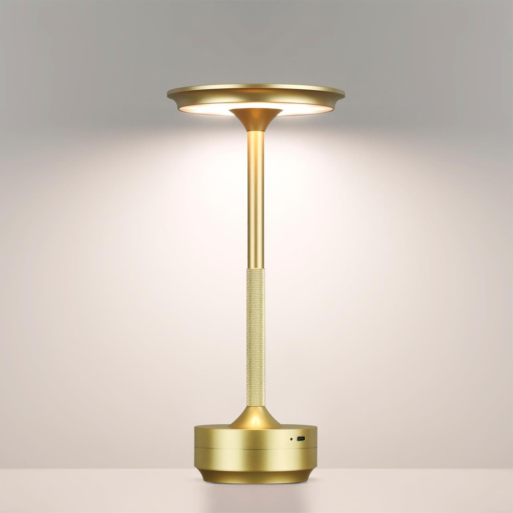 Аккумуляторный светильник Odeon Light TET-A-TET 5033/6TL