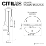 Citilux TENDY CL244031 Подвесной светильник