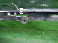 DSCN4609.JPG