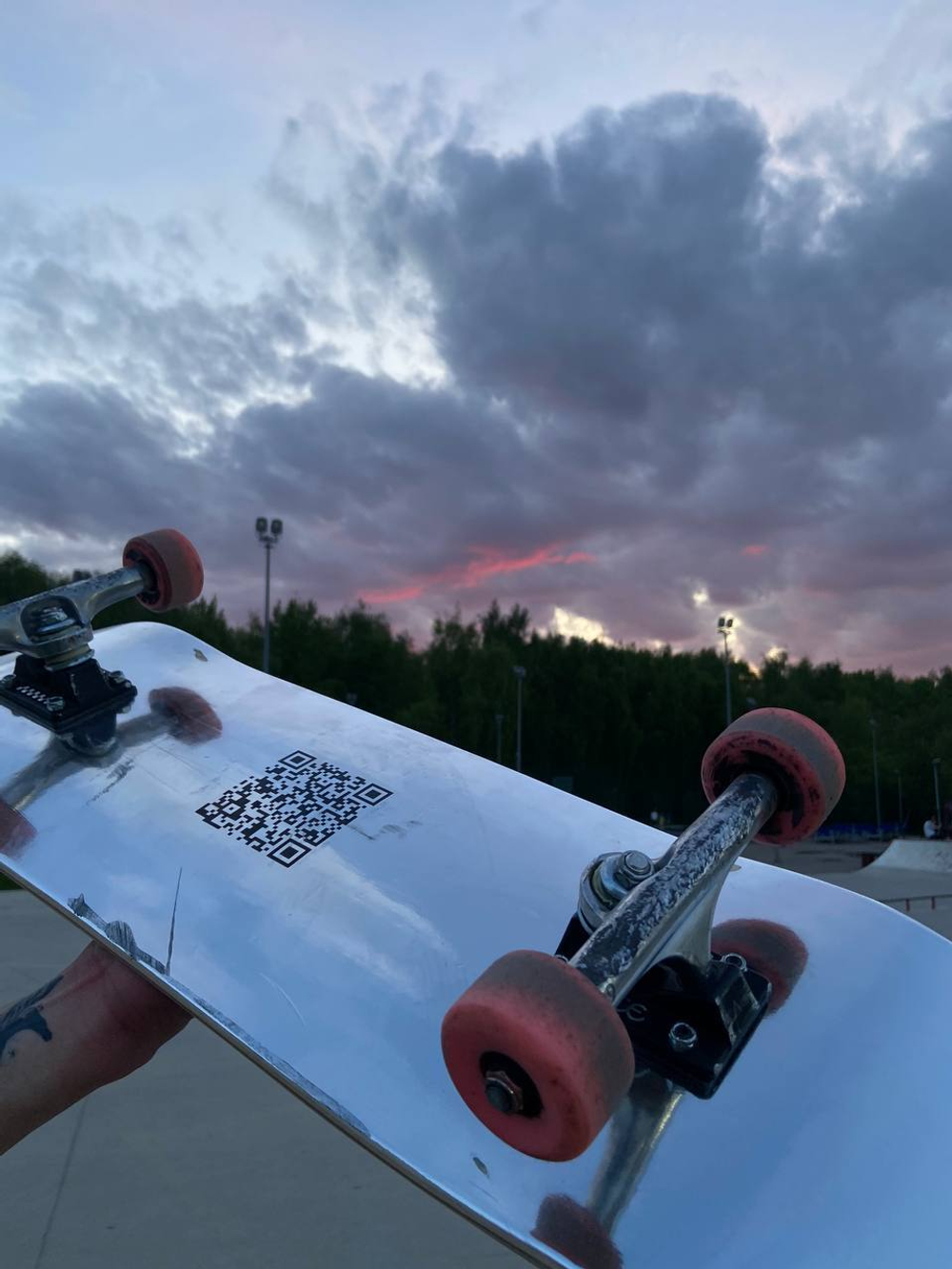 Wild Skate Deck 8.5