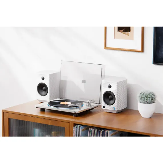 FiiO TT13 Silver