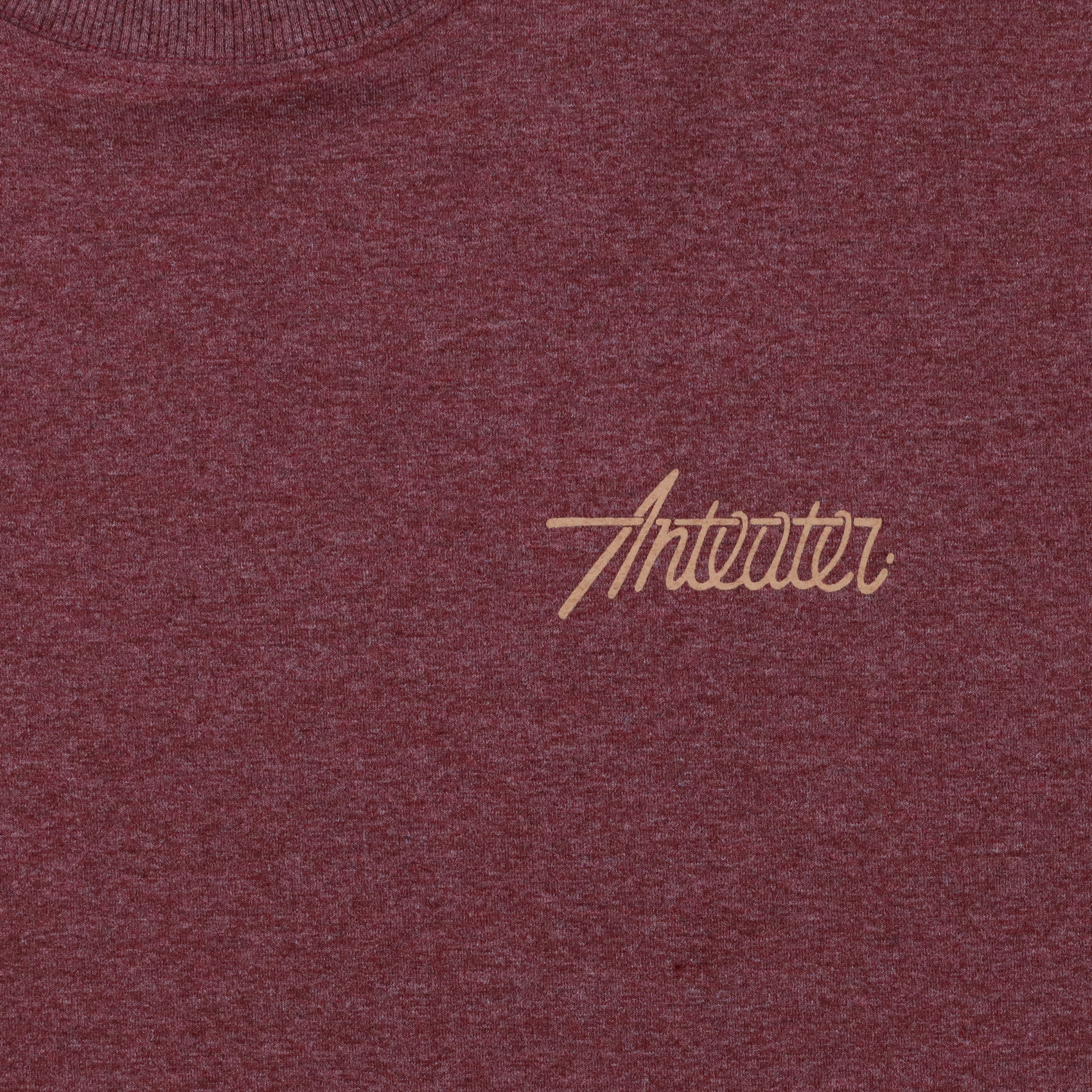 Футболка Anteater Phat Tee 355 (bordo) артикул: - купить в магазине Дайс