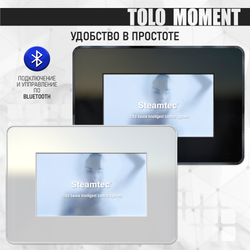 Steamtec TOLO MOMENT 225 - 22,5 кВт парогенераторы для хамама и турецкой бани / Серия PLATINUM со встроенной музыкой, пультом на 9-ти языках и возможностью монтажа без термодатчиков