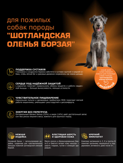 Корм сухой для пожилых собак породы Шотландская оленья борзая старше 5 лет, с индейкой, 3 кг, QUATTRO