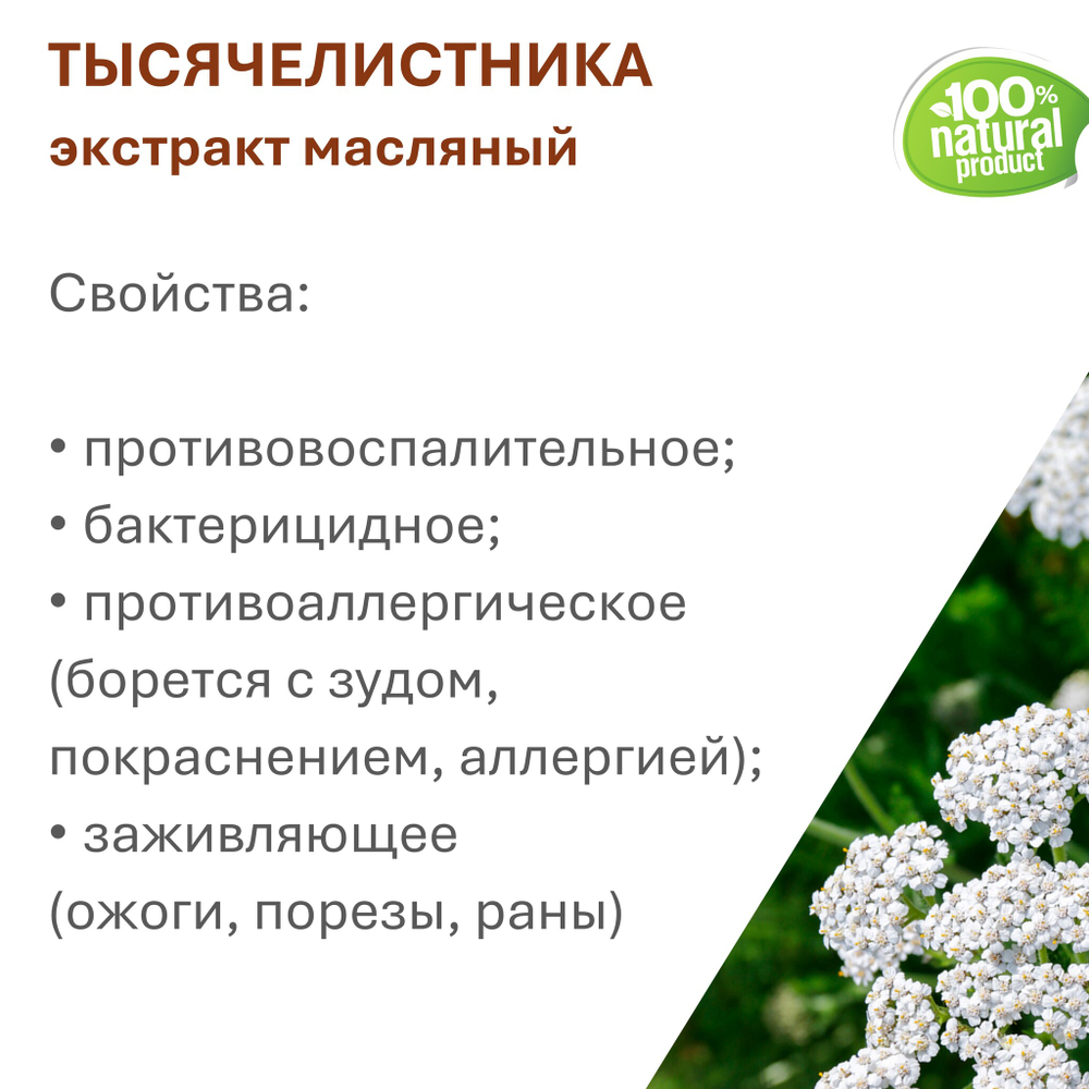 Экстракт тысячелистника, масляный